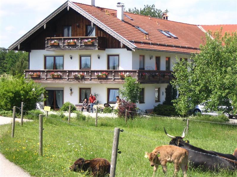 Beim Rieder Apartman Truchtlaching Kültér fotó